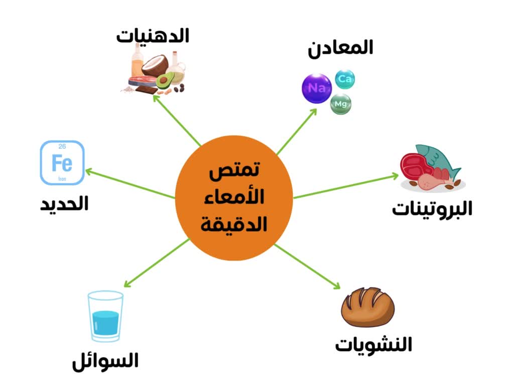 ما هي متلازمة الأمعاء القصيرة SBS