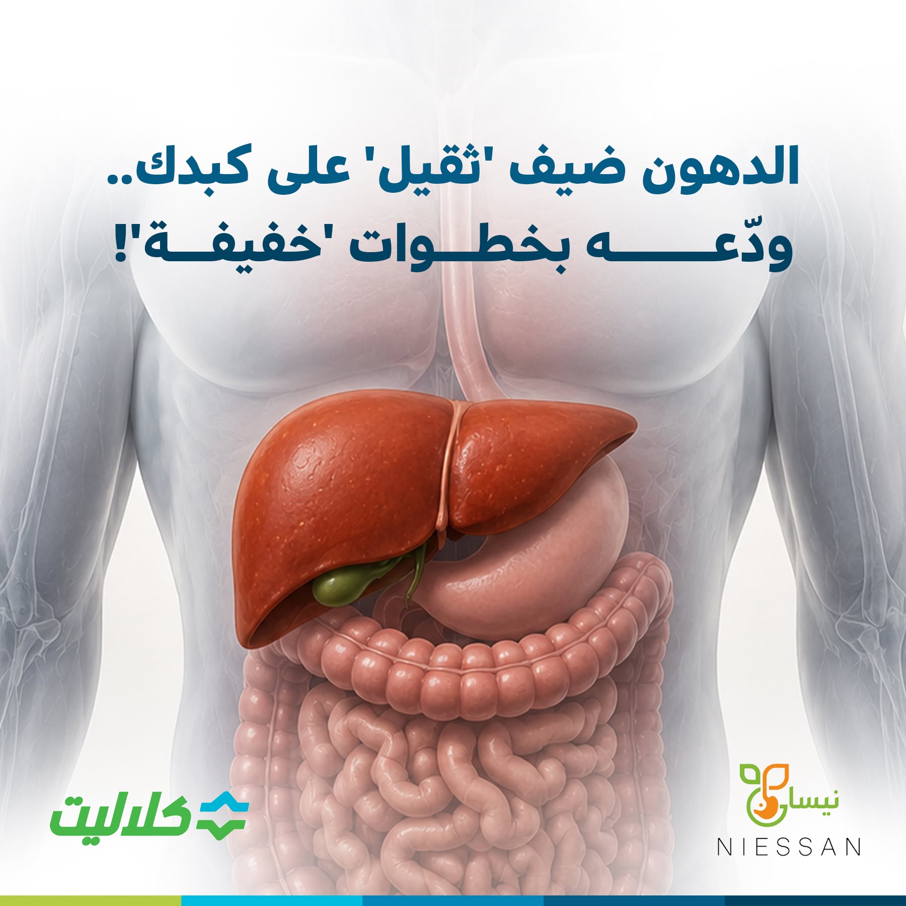 الدهون ضيف ثقيل على كبدك- ودّعه بخطوات خفيفة!