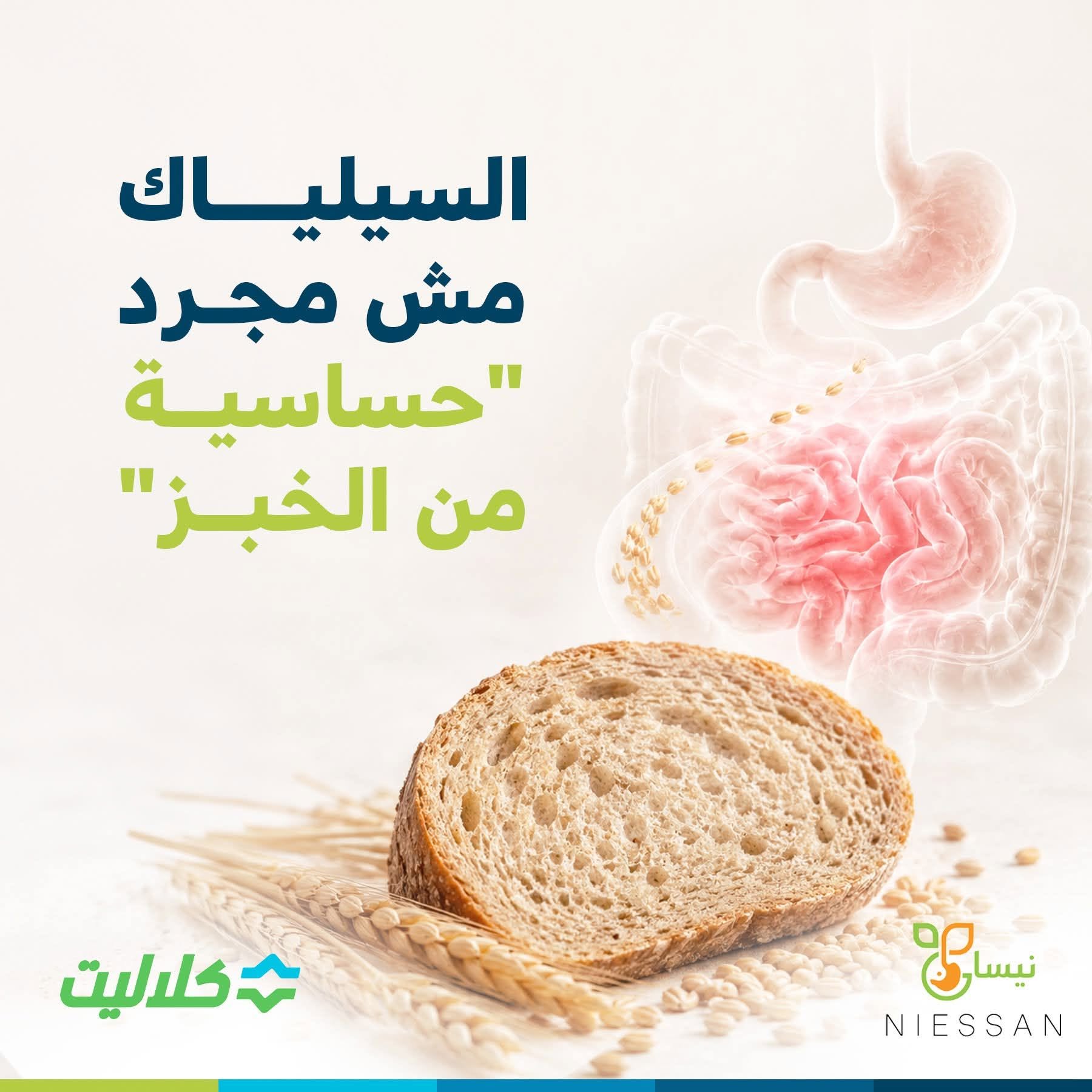 السيلياك مش مجرد حساسية من الخبز - كلاليت وجمعية "نيسان"  تُصدران دليلا شاملا لكشف الإصابة